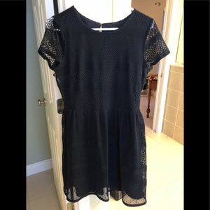 Navy Ann Taylor dress